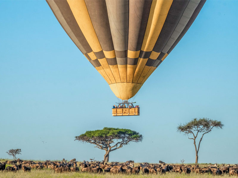 A captivating illustration of a hot air balloon safari over the Serengeti