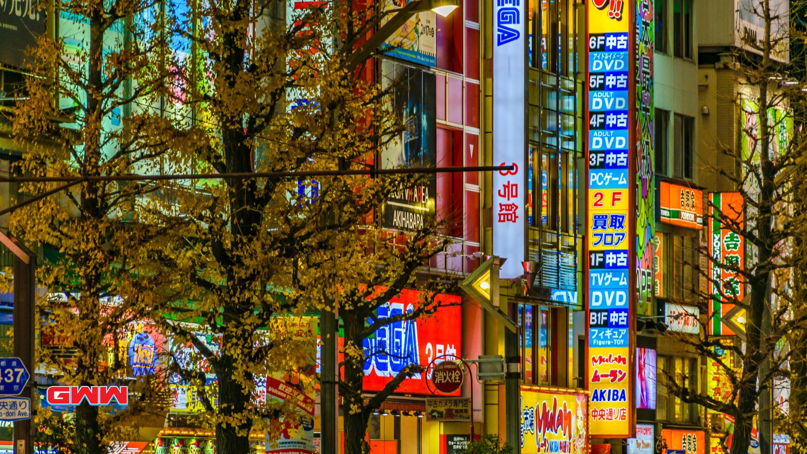 Night view of Akihabara, hub for manga for free