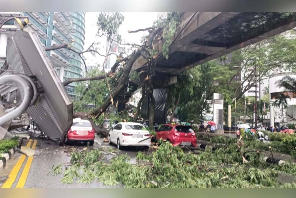 Pokok tumbang: Tiada perkhidmatan monorel antara stesen KL Sentral dan  Medan Tuanku - Sinar Harian