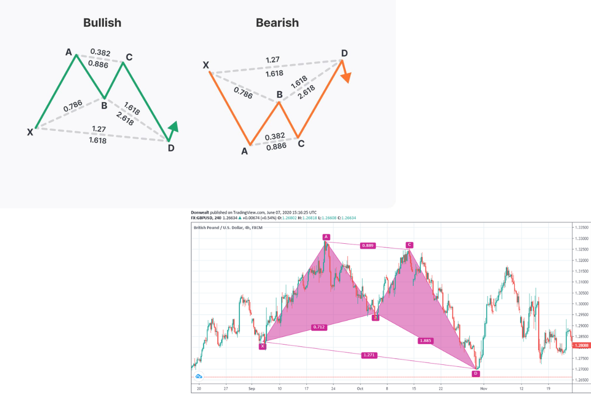 Butterfly Harmonic Patterns