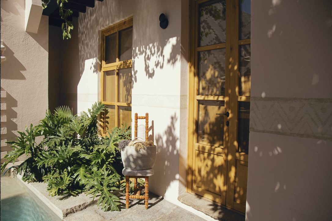 dos puertas de madera en una zona soleada y una exuberante planta verde