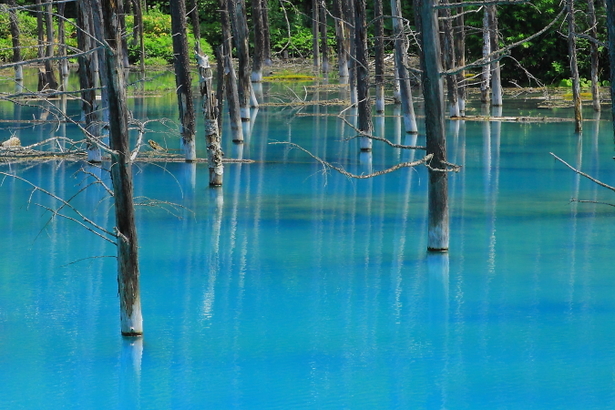 Aoiike in Yamagata Prefecture