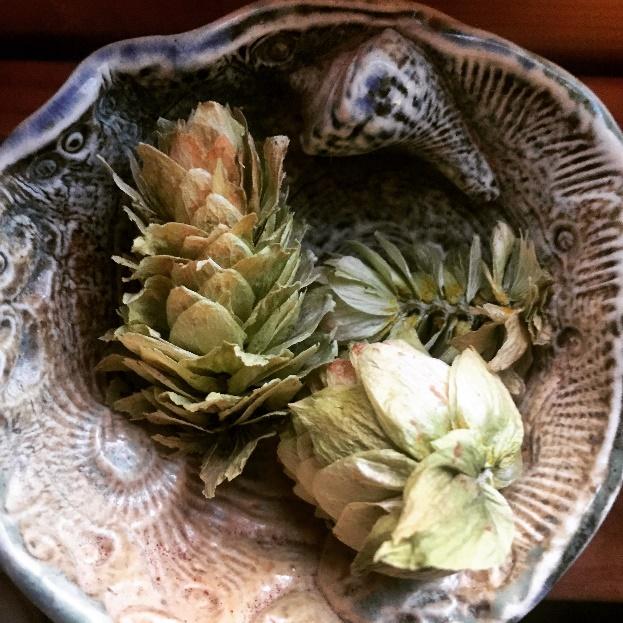 Small dish with natural objects: shell, seedhead, blossom
