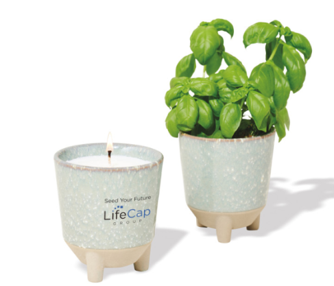 Screenshot of a lit candle and plant in a planter. 