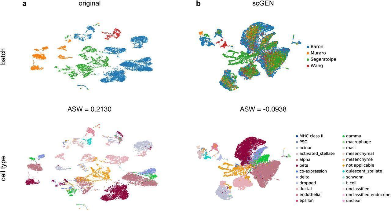 scGen removes batch effects. a, UMAP visualization of 4 technically diverse pancreatic datasets with their corresponding batch and cell types.