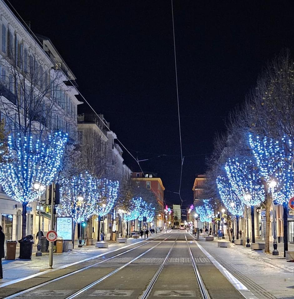 A street with trees and lights on it

Description automatically generated