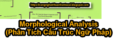 Các Phần Quan Trọng của Hệ Thống NLP: Đào Sâu Vào Morphological Analysis |Ai Tech Blog