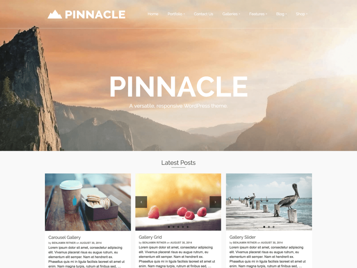 Free WordPress photography themes, Pinnacle WordPress theme