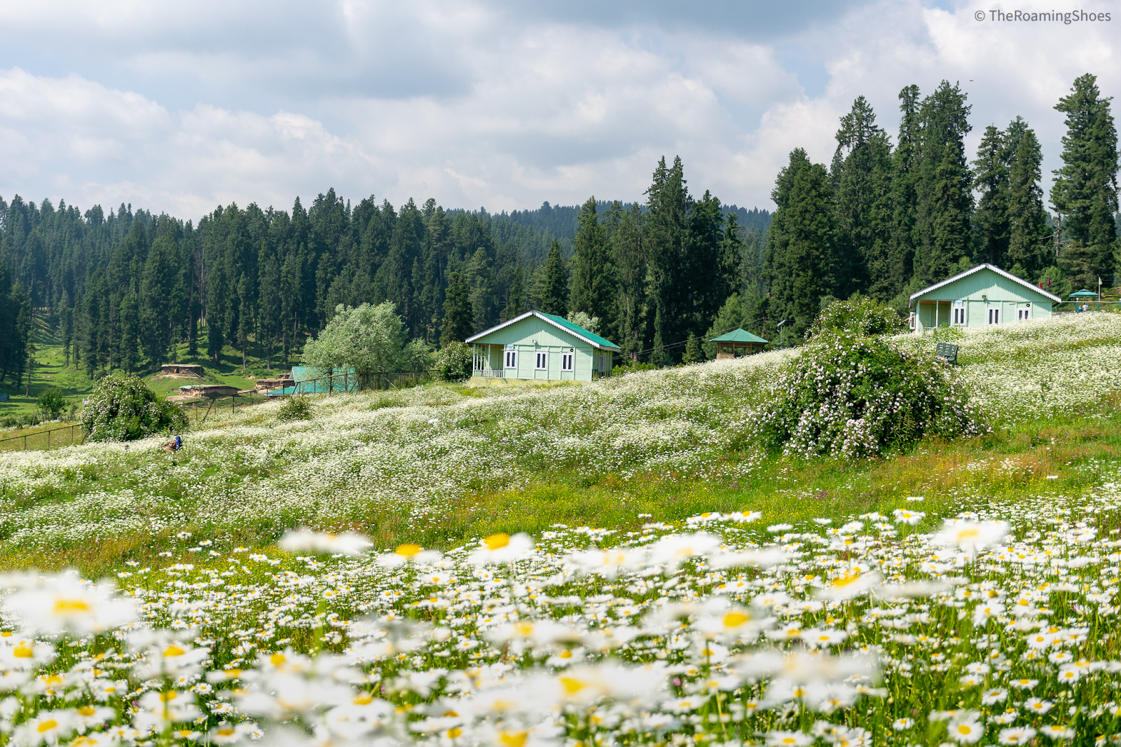 Yusmarg