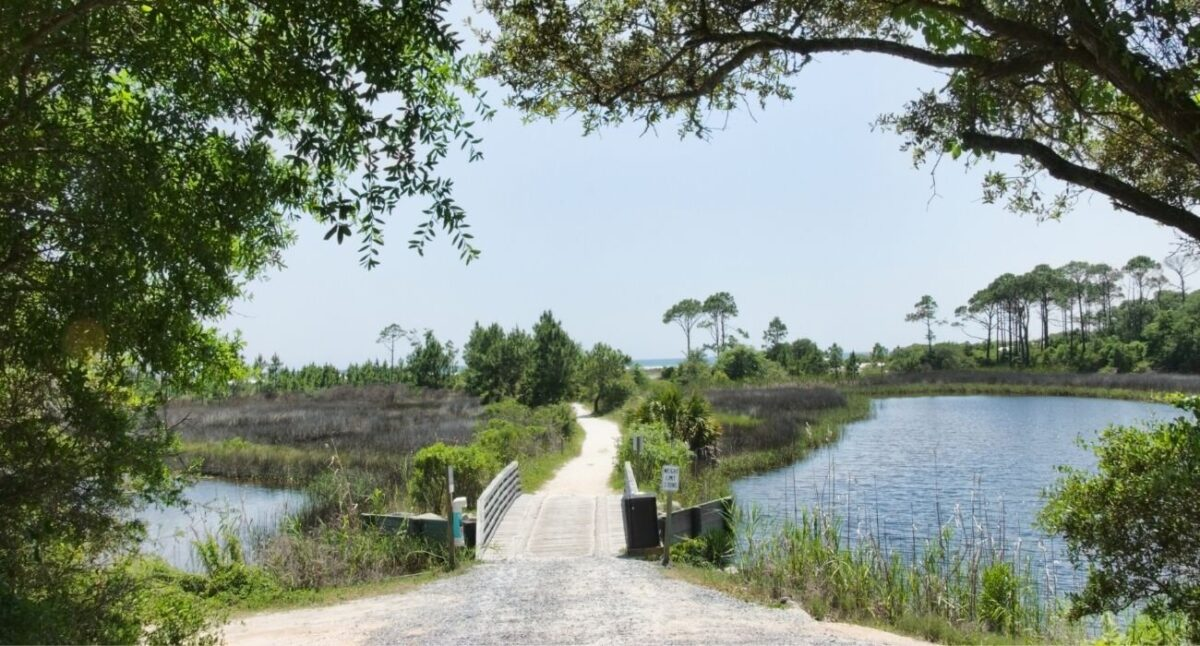 Camp Helen State Park