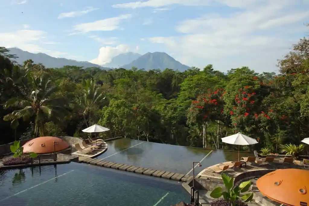 Dive Into Nature Outdoor Escapes