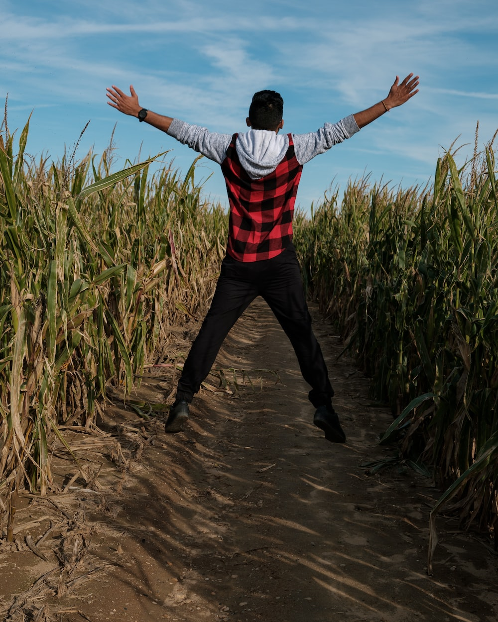 A Boy Jumping in a Corn Maze