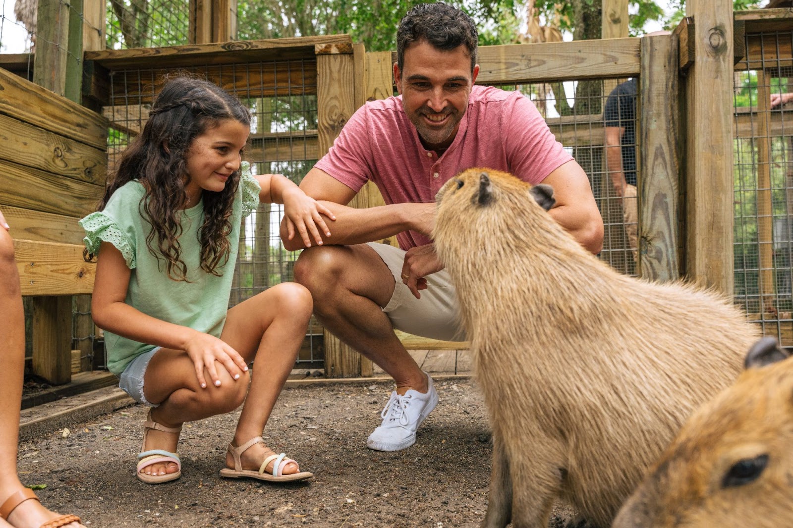 A family enjoys a capybara encounter at the Wild Florida's Gator Park