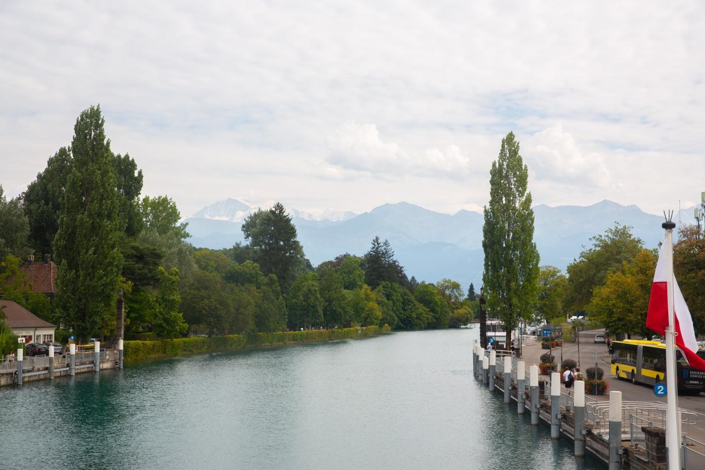 A river with trees and a dock

Description automatically generated