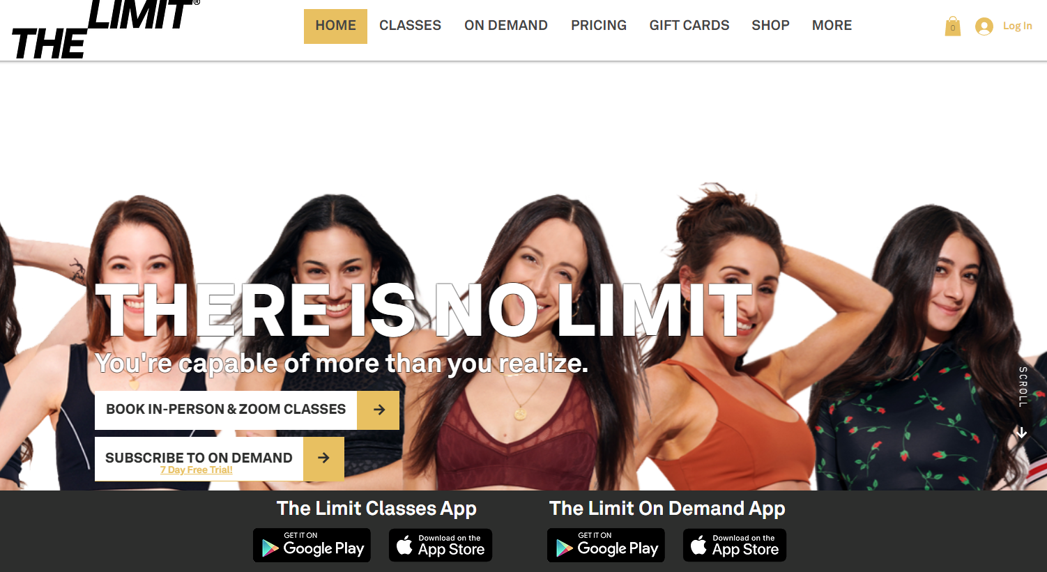 Fitness Website The Limit