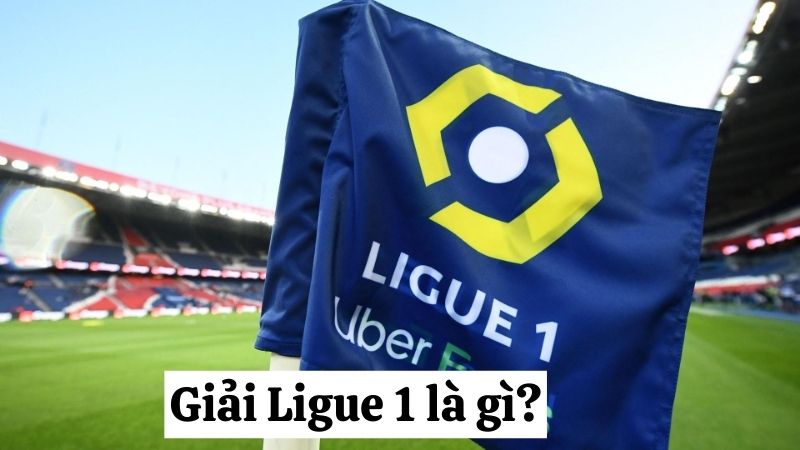 Lịch Sử Hình Thành của giải thi đấu Ligue 1