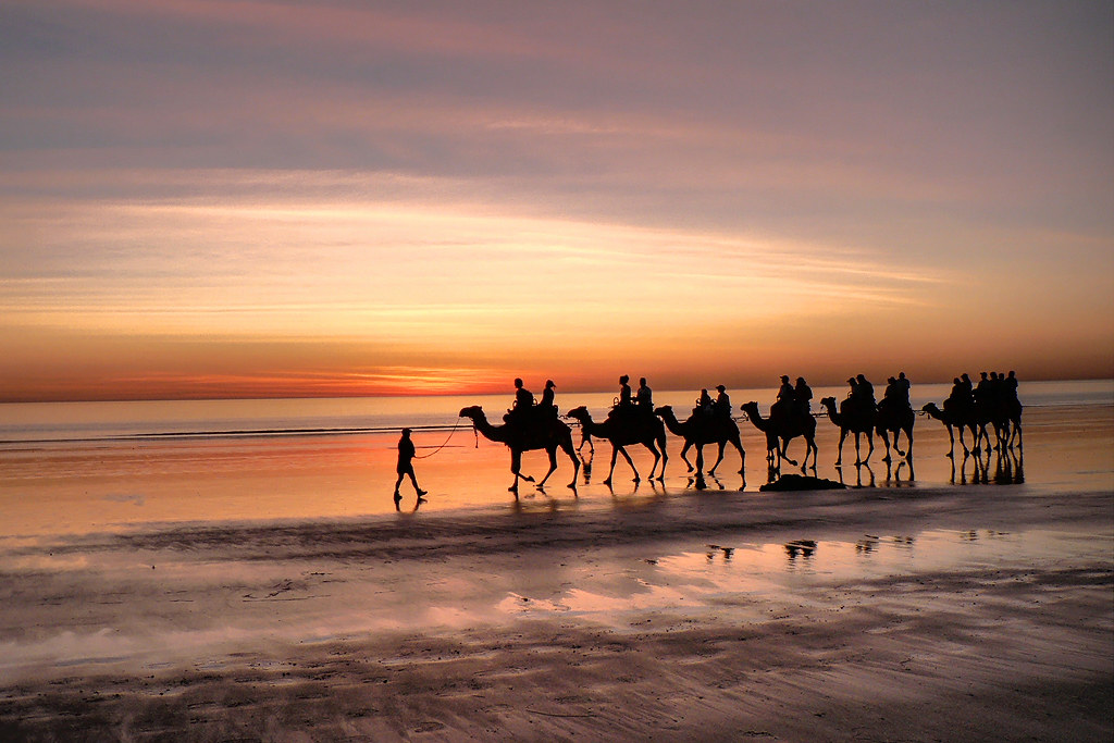 Camel ride Along with stunning sunset at the Cable Beach.