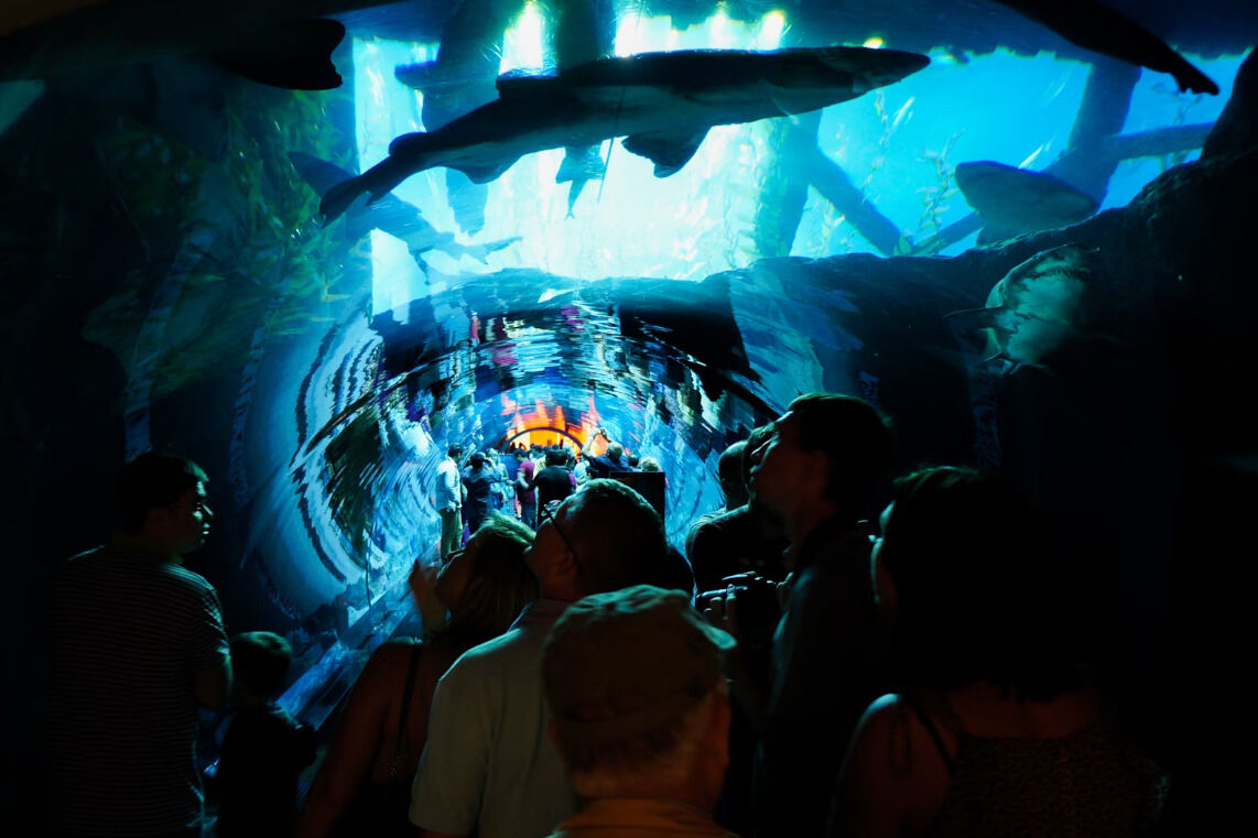 People admiring the Dubai Aquarium