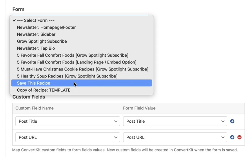 Screenshot of creating "dummy form" that nobody will see on the front end in ConvertKit for email marketing for bloggers