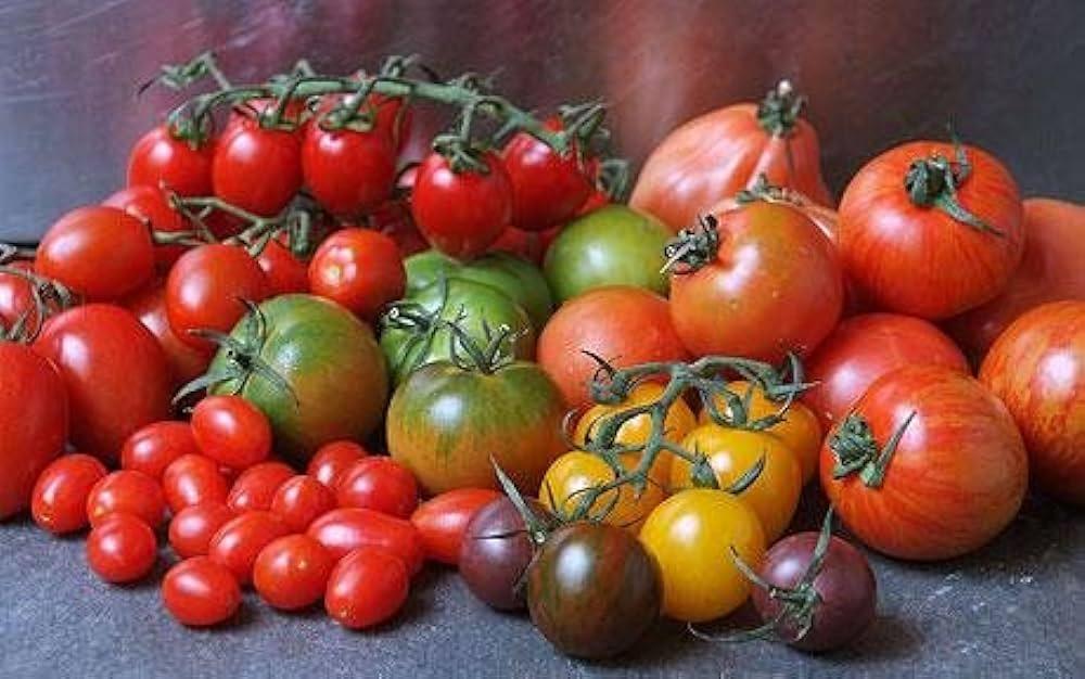 Mixed Collection of Tomatoes (9 packets-400+ Seeds)- Round, Long, Cherry,  Heirloom Mixed Combo (red and Yellow Color Tomatoes only) : Amazon.in:  Garden & Outdoors