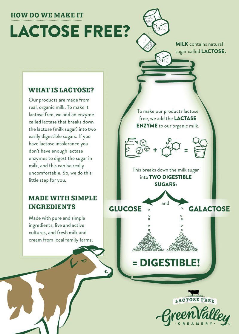 How to make lactose free milk