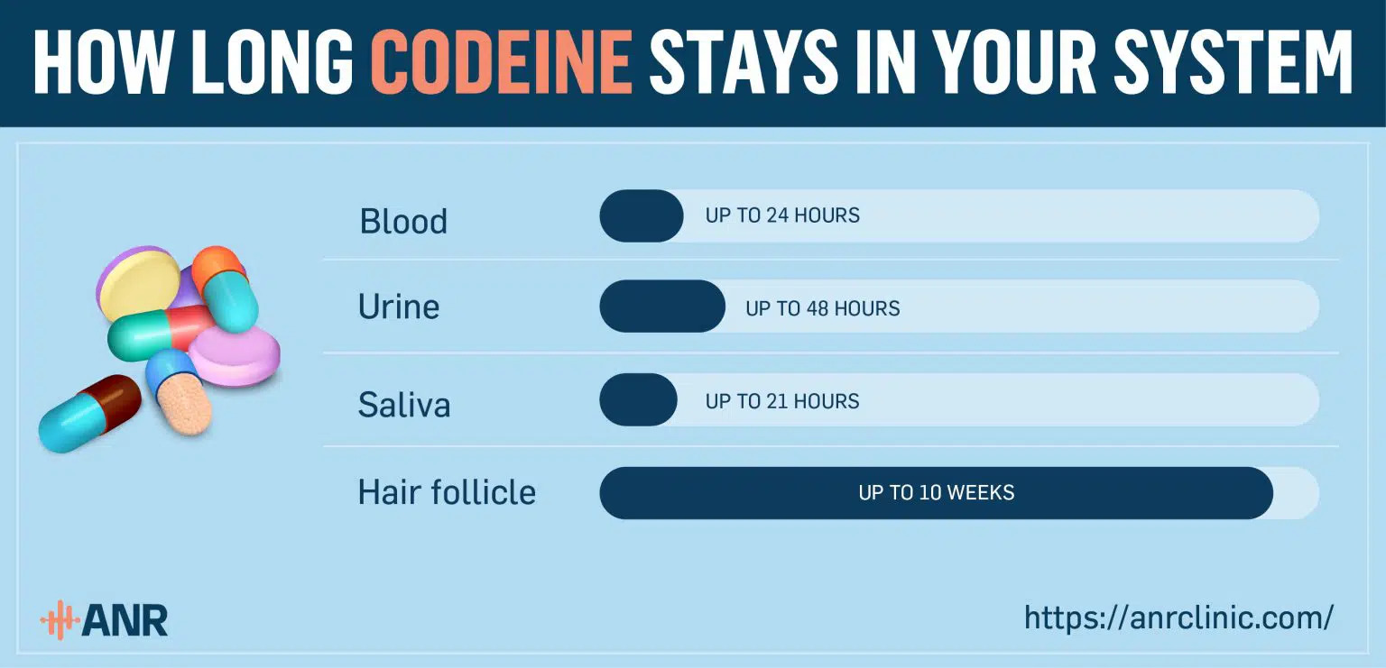 How Long Does Codeine Stay in Your System?