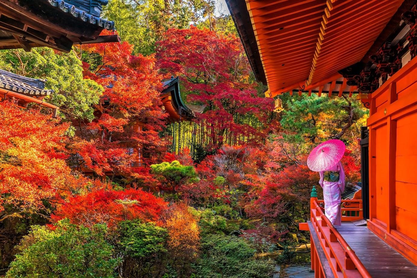 Admire the Spectacular Autumn Foliage in Japan at 10 Breathtaking ...