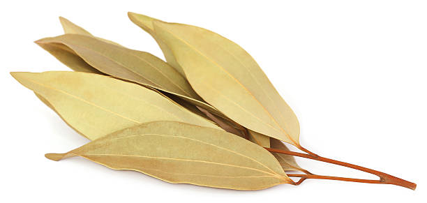 Bay Leaves - Health Benefits