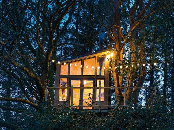 The front of the treehouse nestled in mature trees.