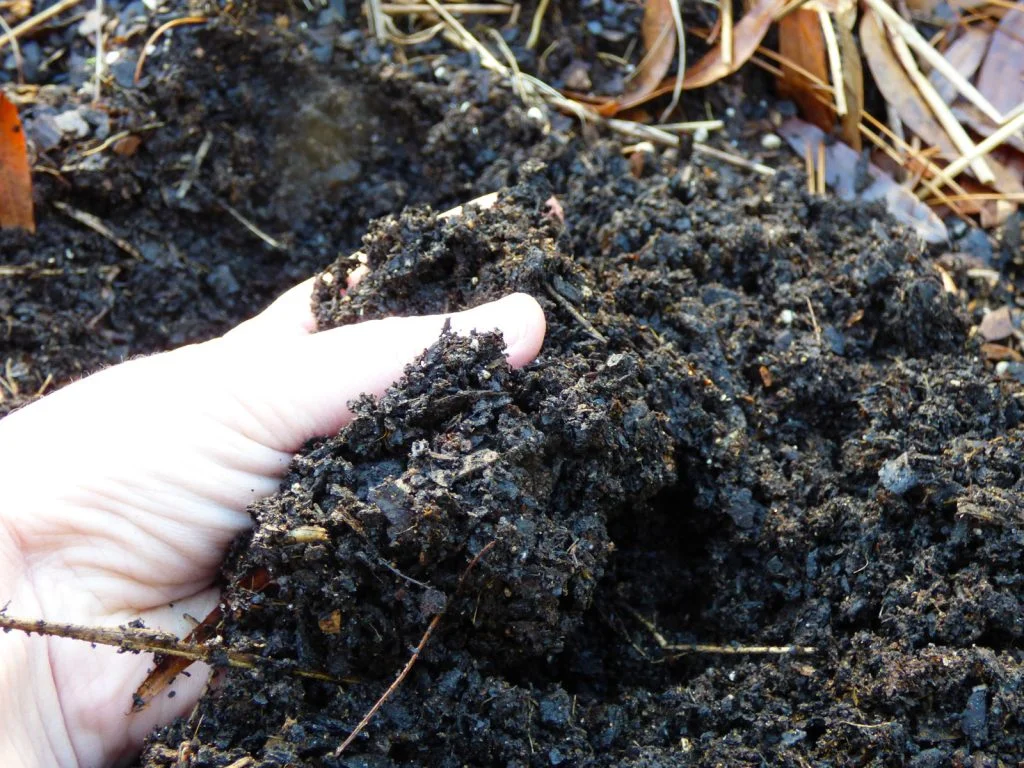 Poor Soil Drainage