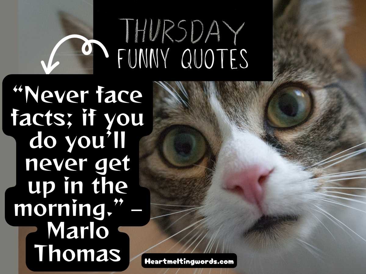 Thursday quotes for work funny