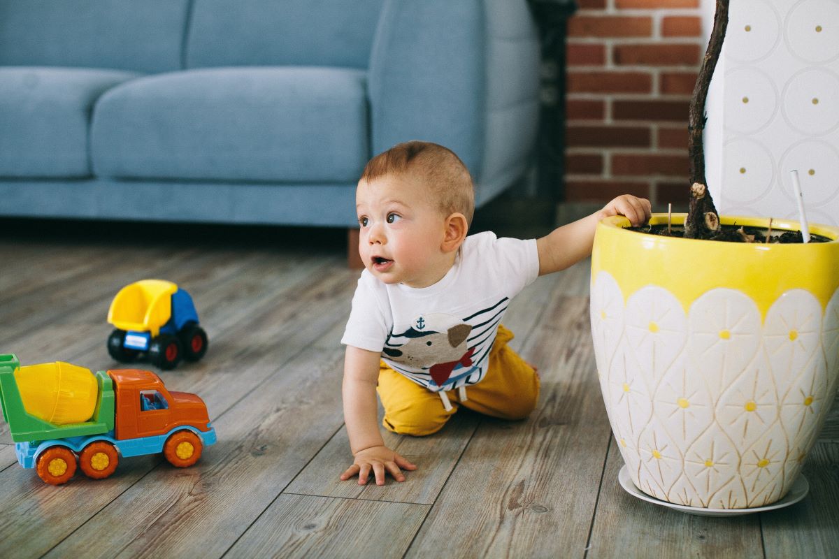 baby boy playing with toys on wood floor