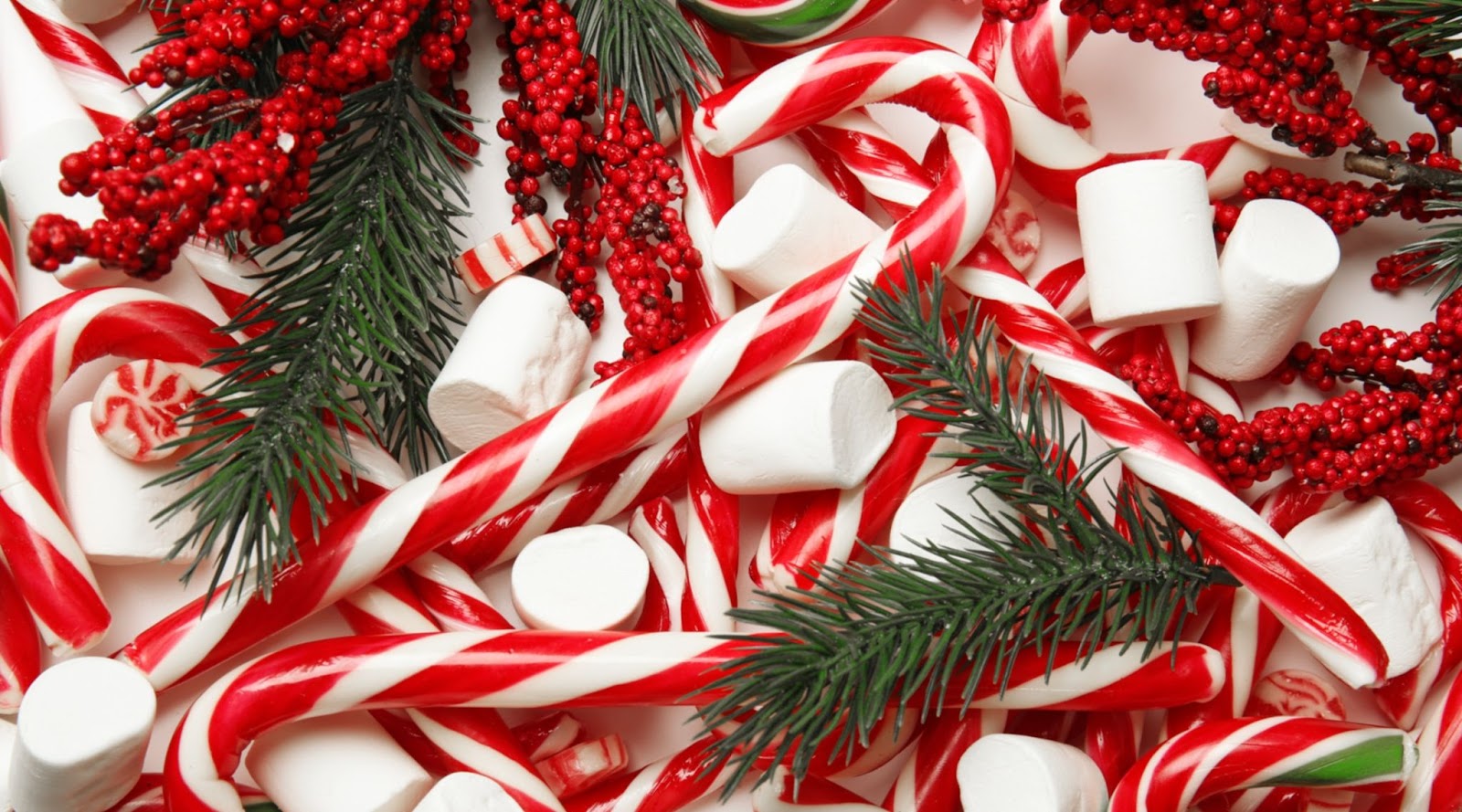 how-to-organise-a-candy-cane-hunt-freepixel-blog