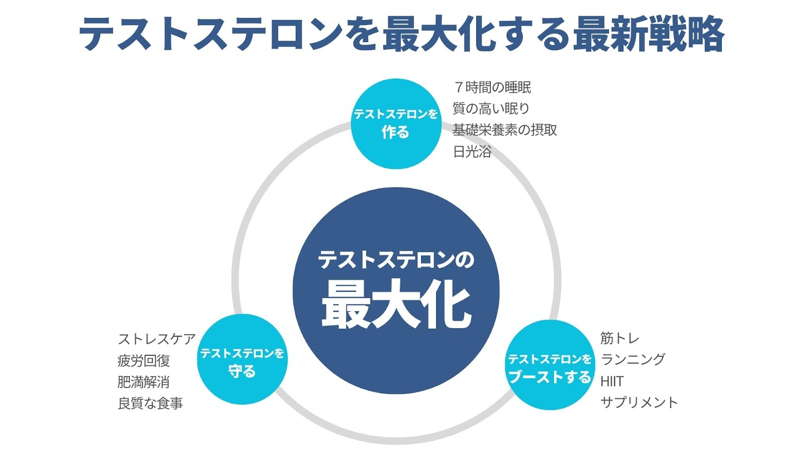 テストステロンを増やす最新戦略