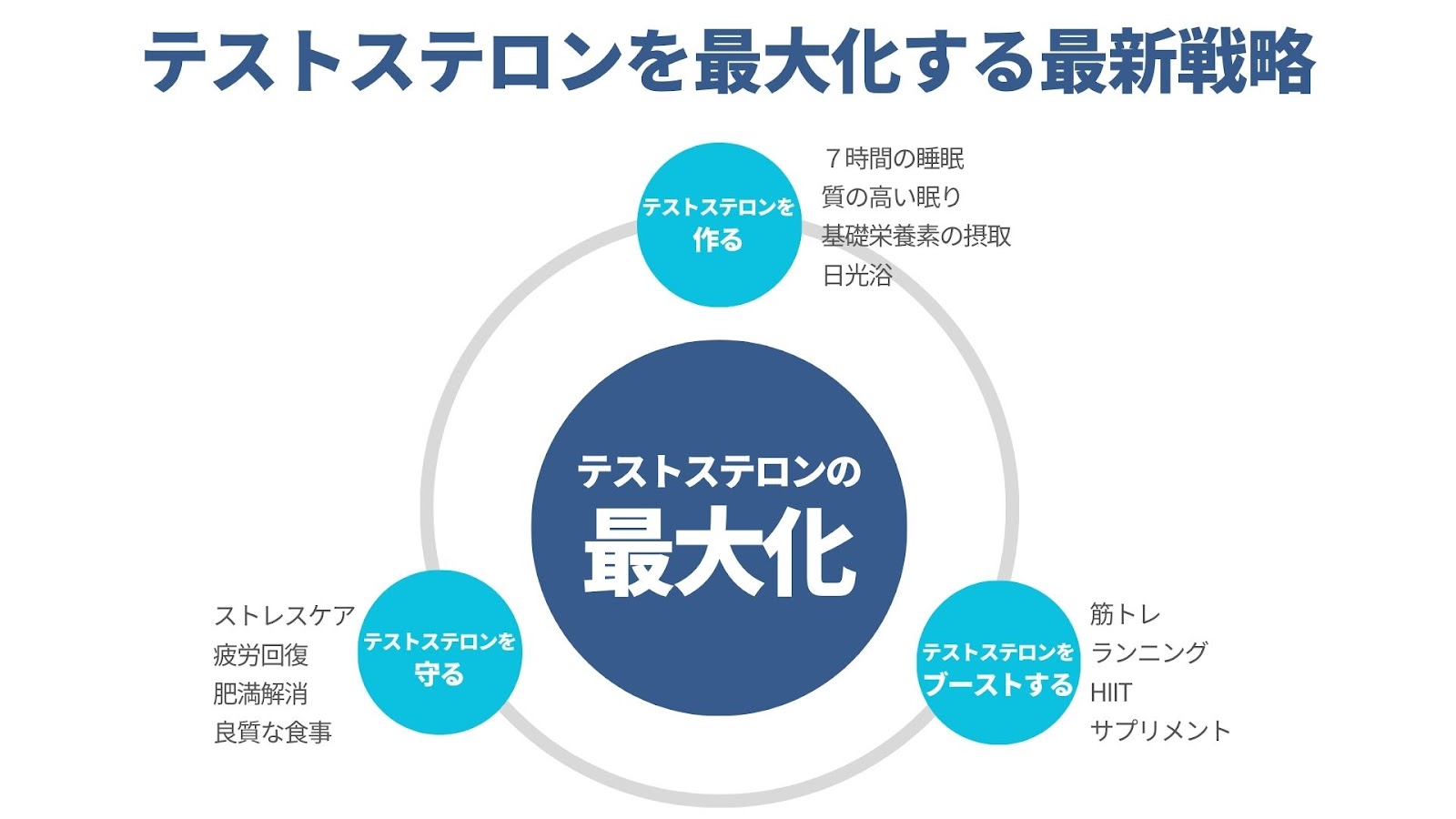 テストステロンを増やす最新戦略