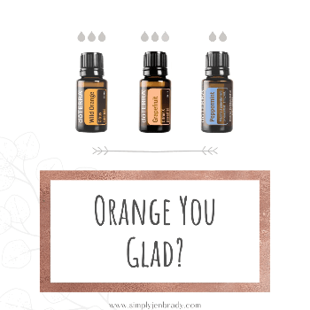 A diffuser blend using Wil Orange, Grapefruit and Peppermint.