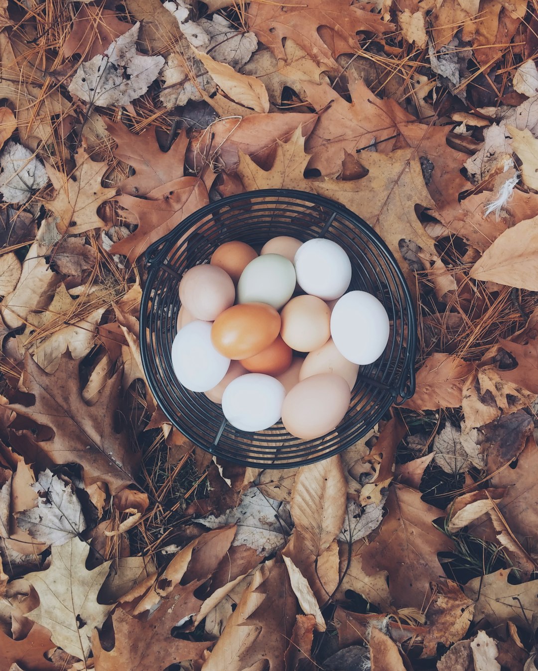 Korean sauna eggs