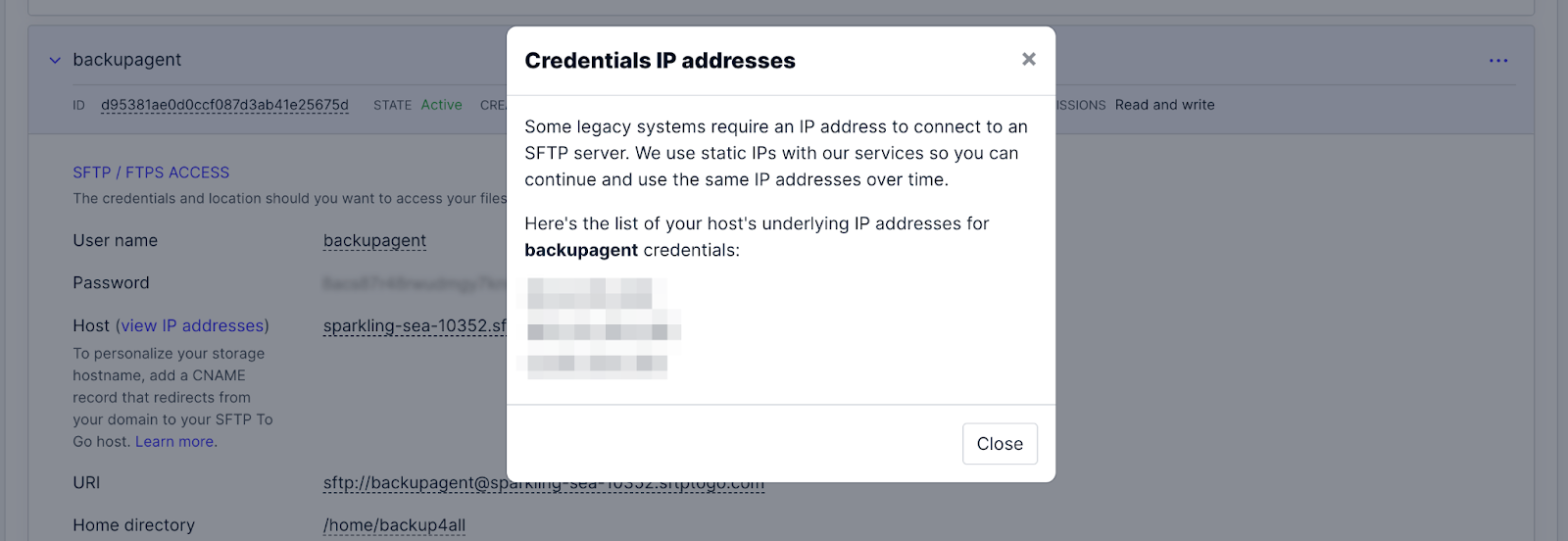 Looking up static IP address via the SFTP To Go Credentials tab