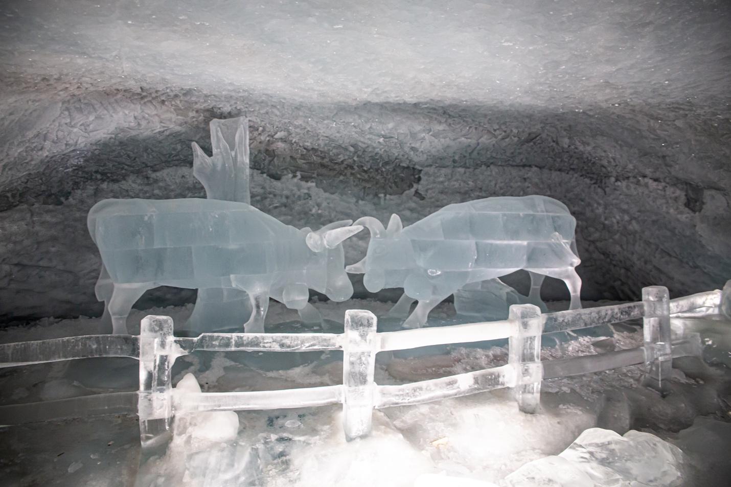 A close-up of ice sculptures

Description automatically generated