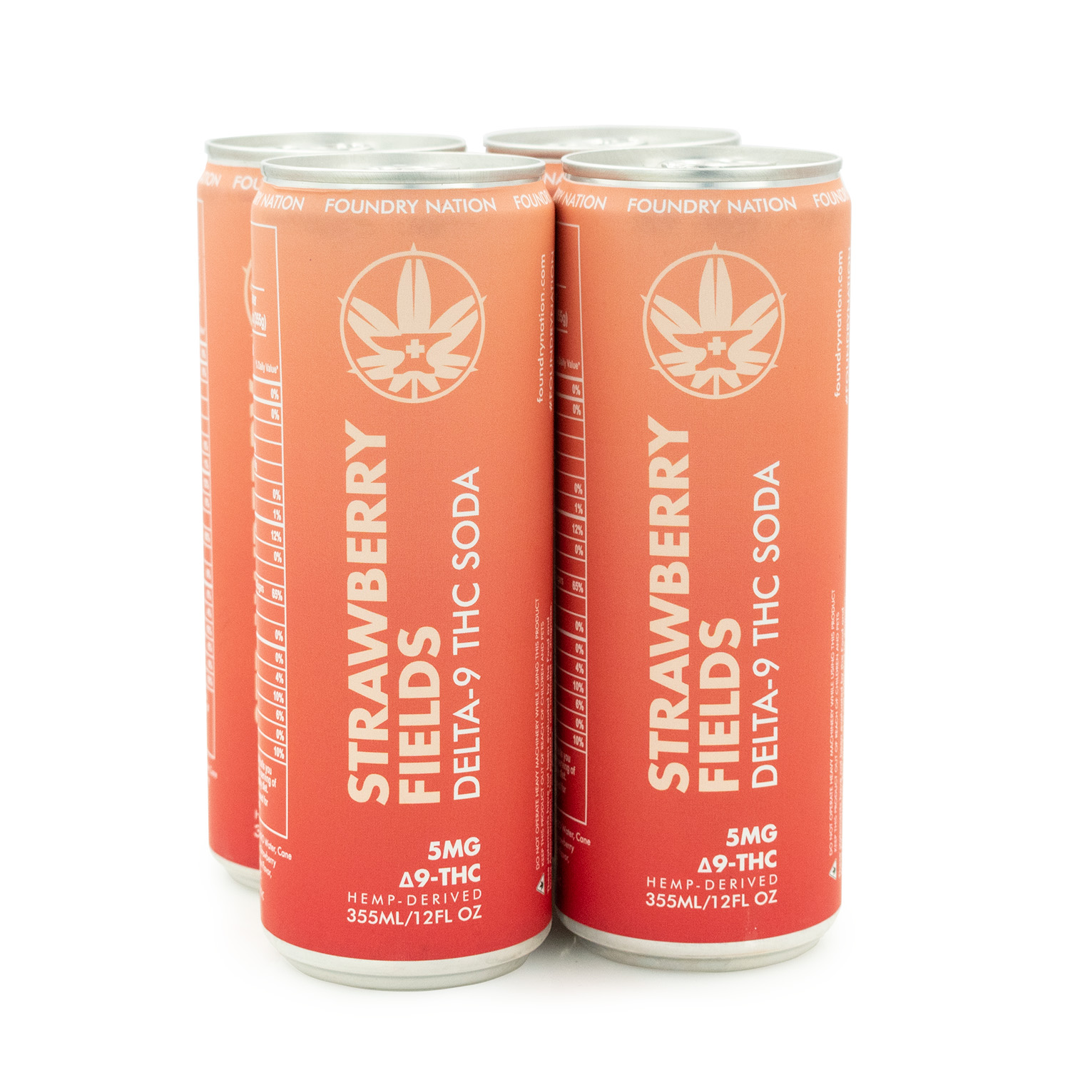 Foundry Nation Soda - Strawberry Fields