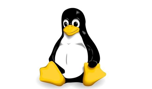 Linux – первое знакомство