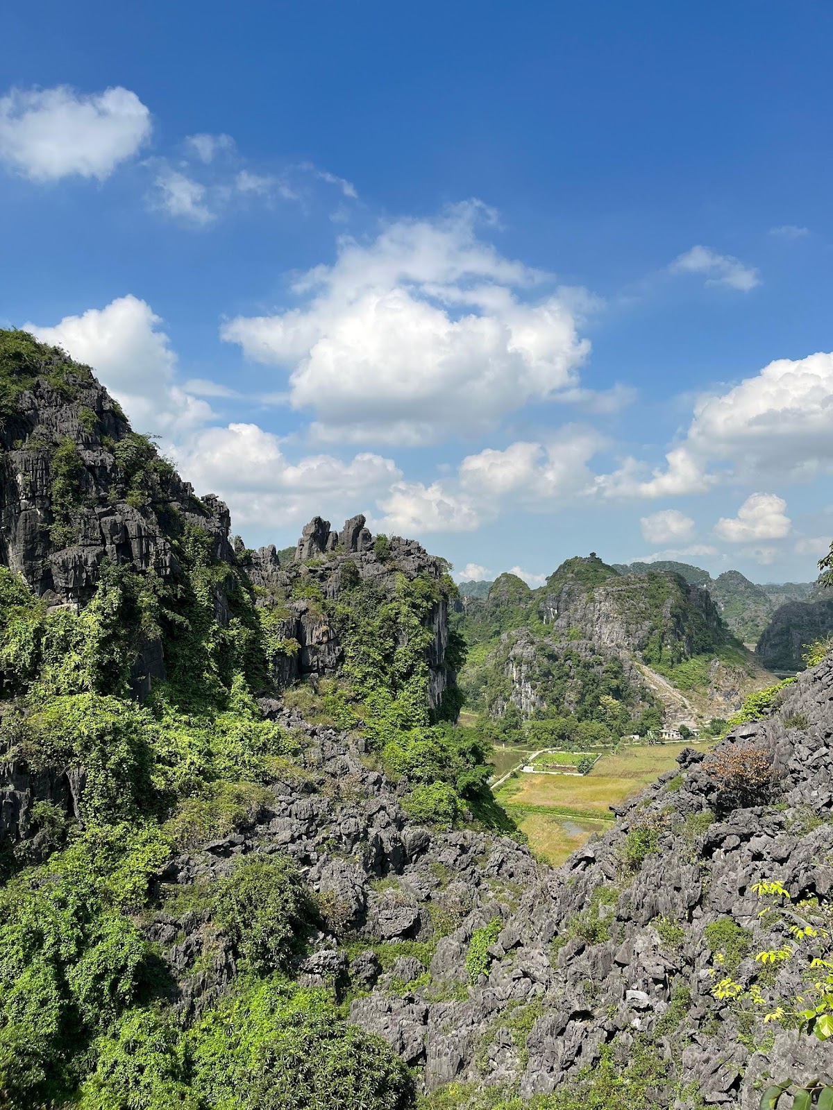 Aloha-Vietnam-Travel-review-a-day-trip-in-ninh-binh-7