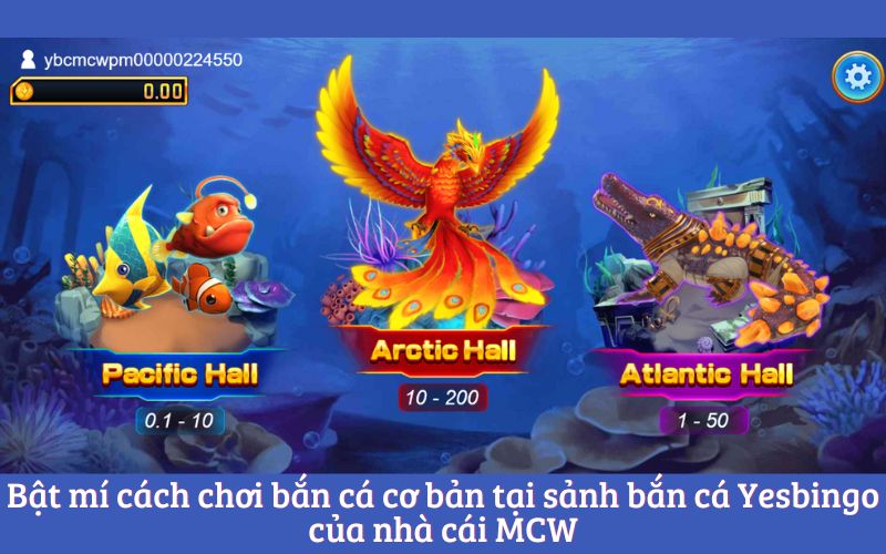 Bật mí cách chơi bắn cá cơ bản tại sảnh bắn cá Yesbingo của nhà cái MCW