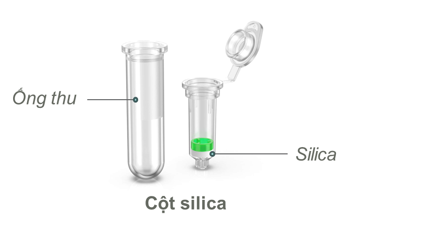 tách chiết cột silica
