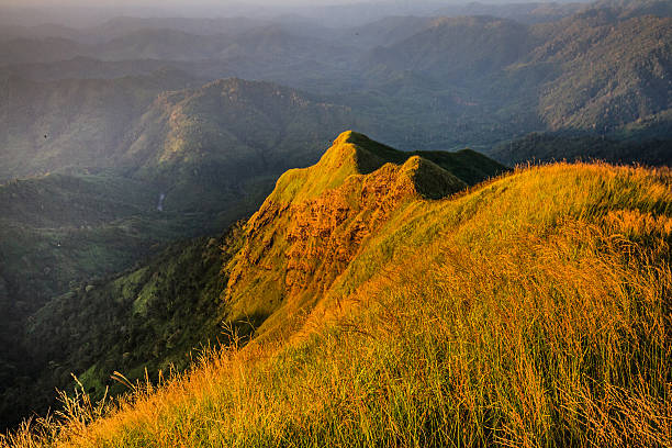 Ponmudi Western Ghats