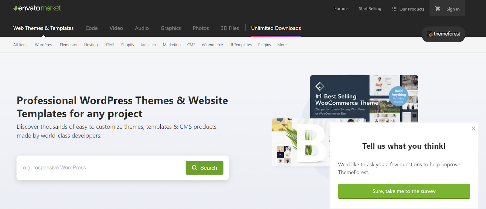 nulled WordPress themes