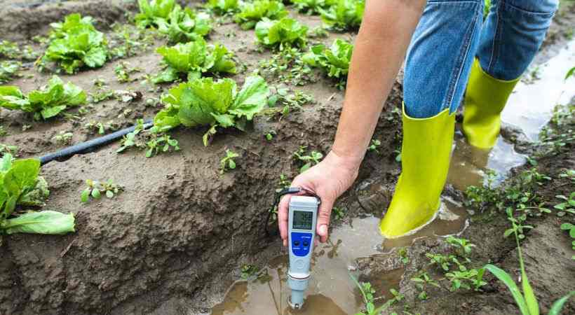 The Pros and Cons of Cheap pH Meters