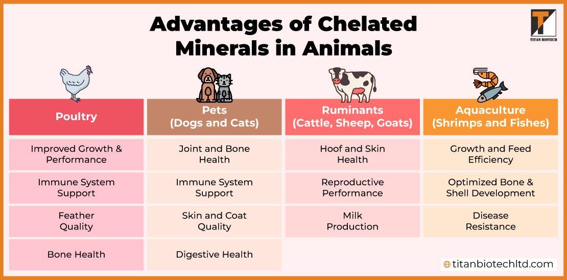 Advantages-of-Chelated-Minerals-in-Animals