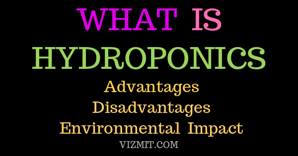 what is hydroponics