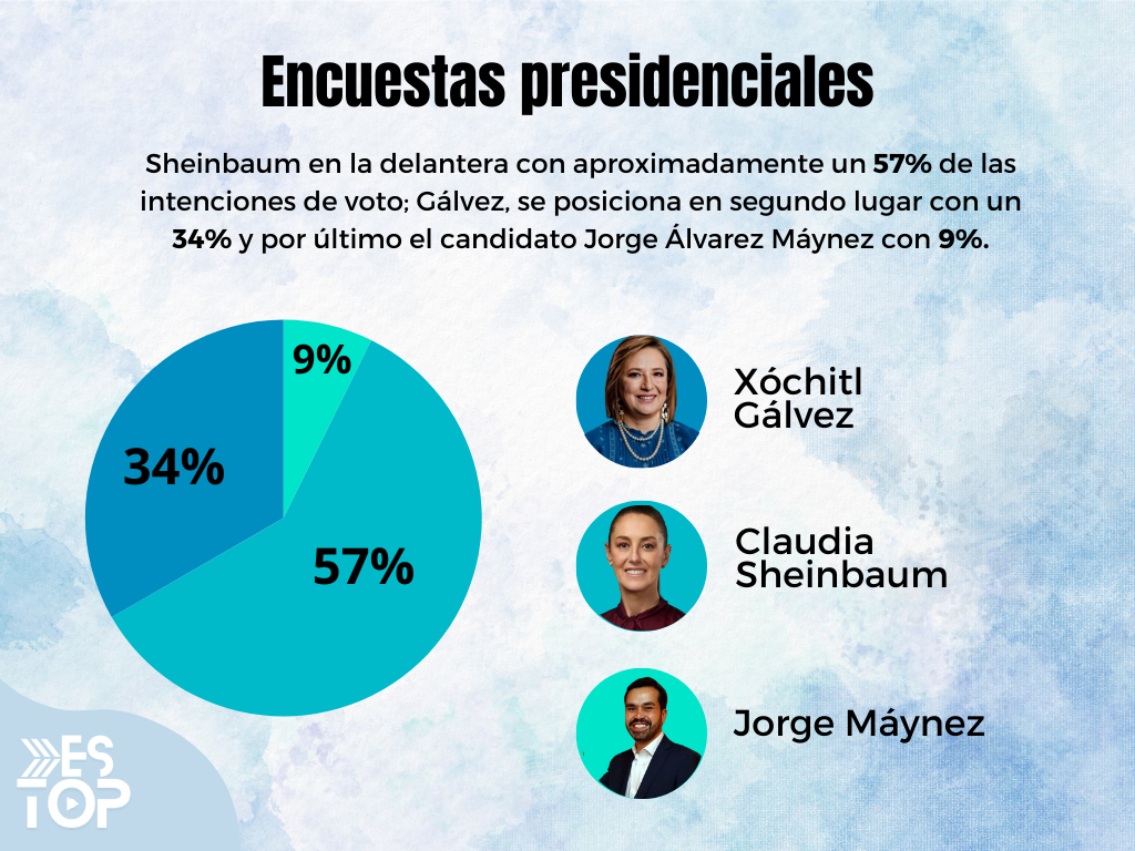 Gráfico, Gráfico circular

Descripción generada automáticamente